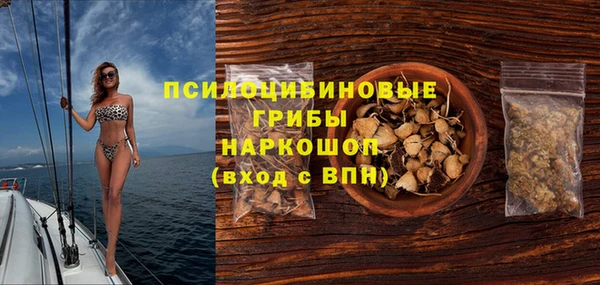 хмурый Алексеевка