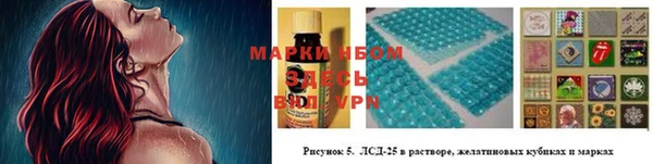 хмурый Алексеевка