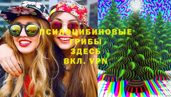 бутират Алзамай