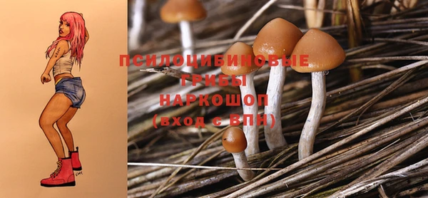 бутират Алзамай